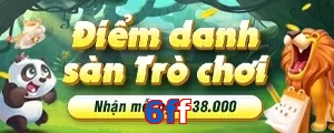 6ff